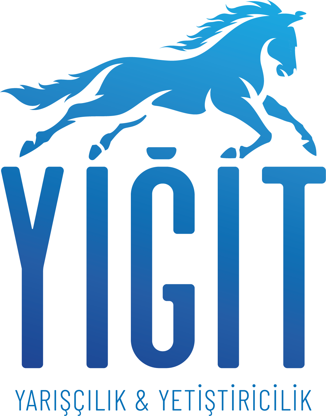 Yigit Stud | Yarışçılık ve Yetiştiricilik