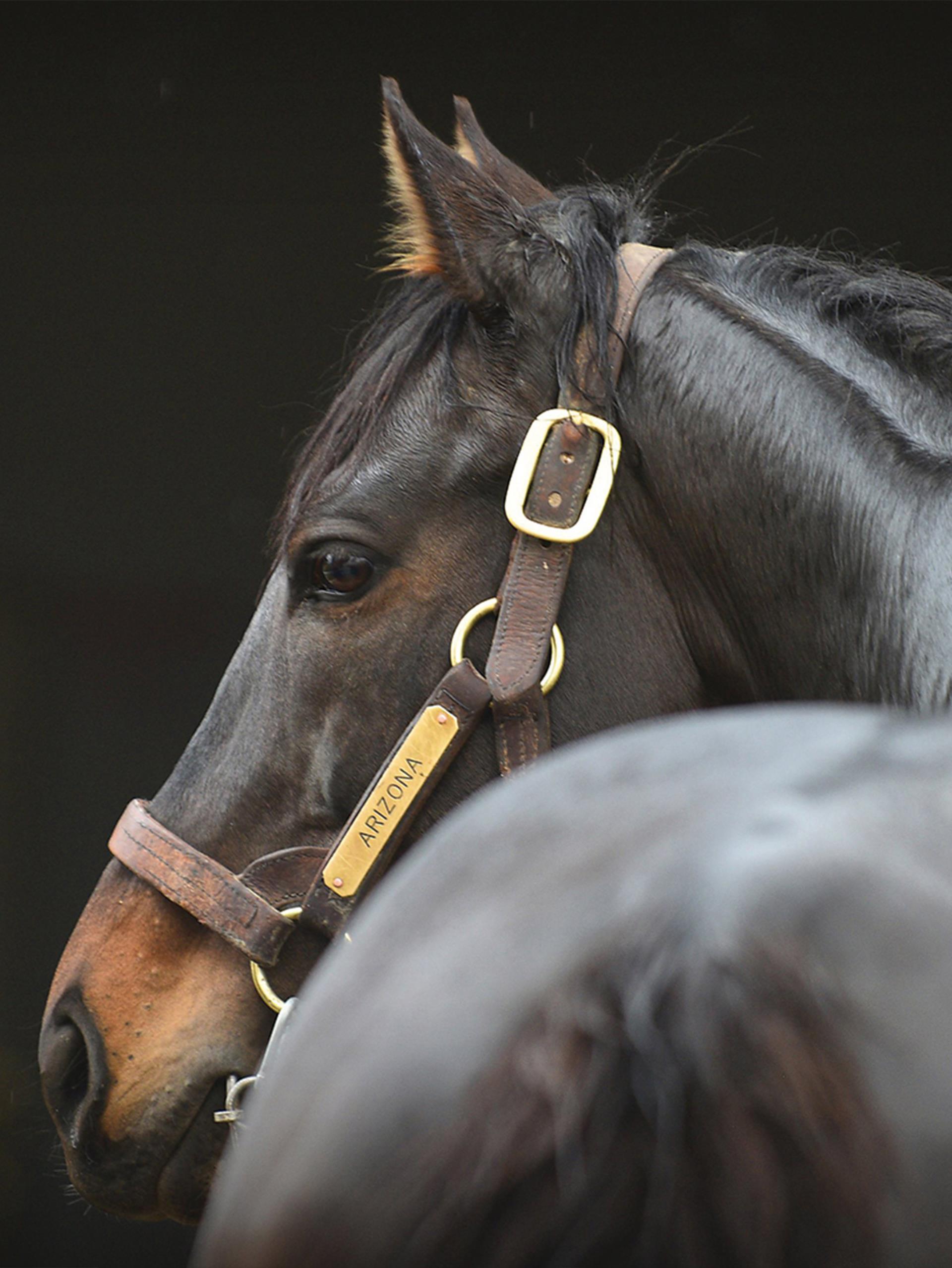 ARIZONA Aşım Müracaatları