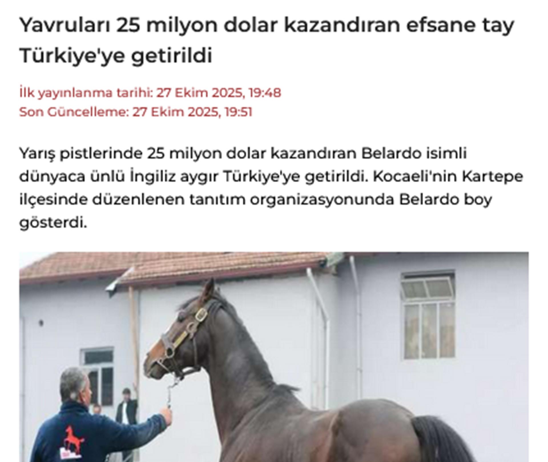 Yavruları 25 milyon dolar kazandıran efsane tay Türkiye'ye getirildi