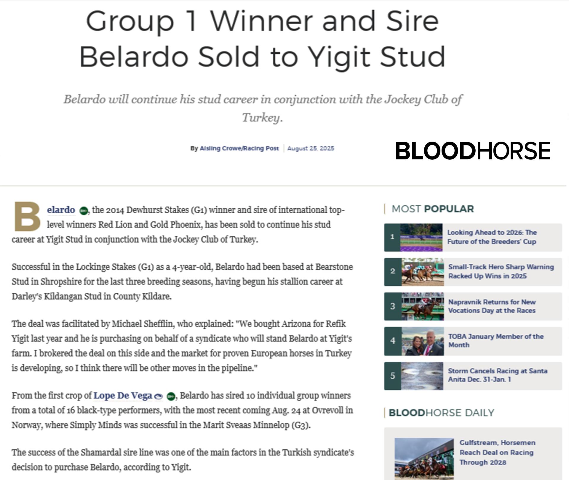 Group 1 Winner and Sire Belardo Sold to Yigit Stud