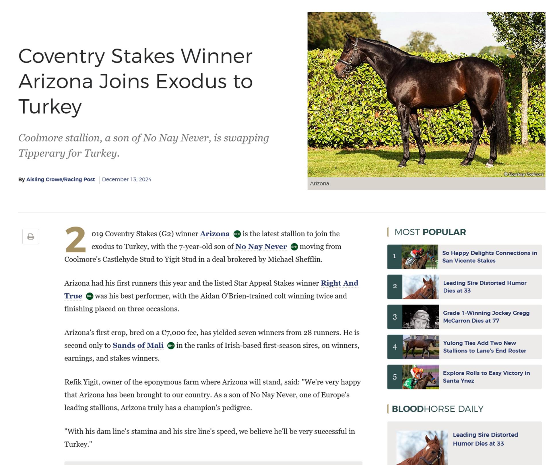 Coventry Stakes Winner Arizona Joins Exodus to Turkey