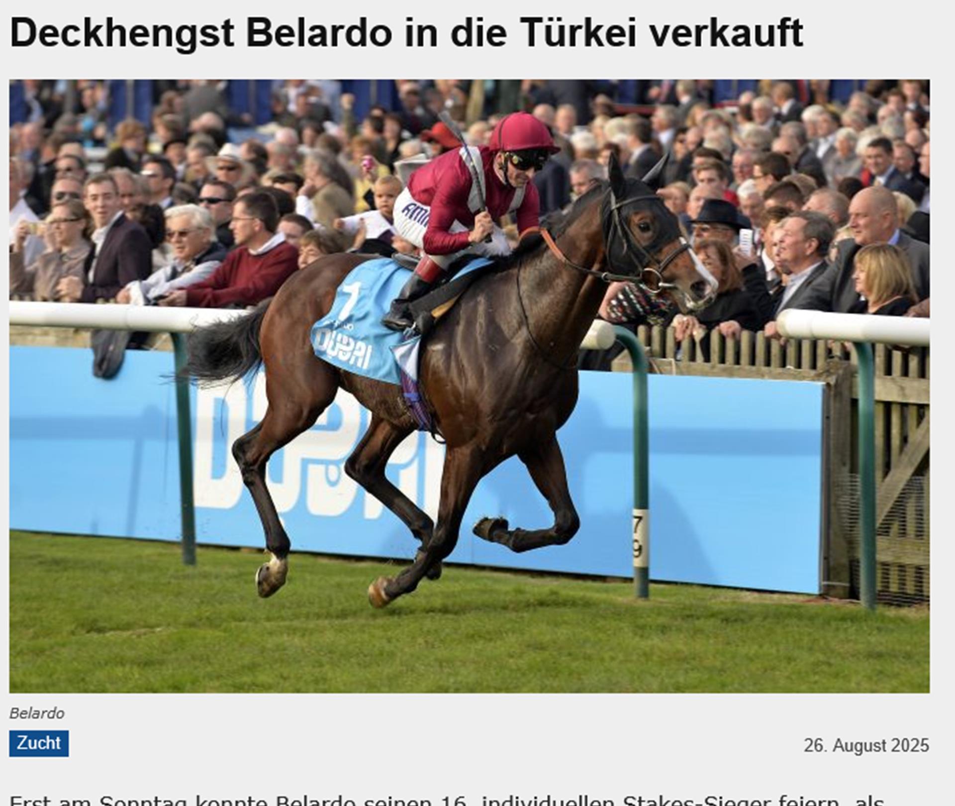 Deckhengst Belardo in die Türkei verkauft
