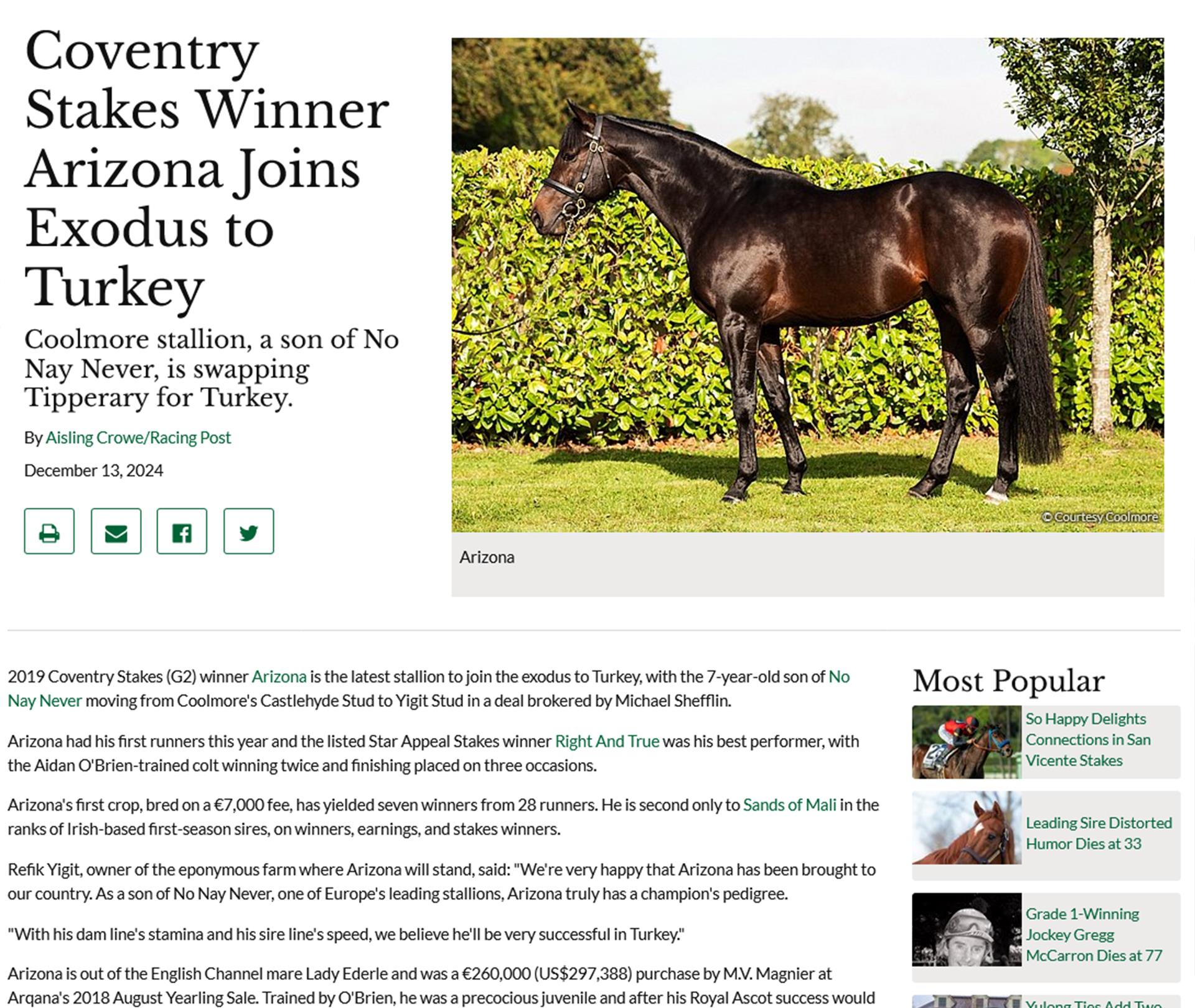 Coventry Stakes Winner Arizona Joins Exodus to Turkey